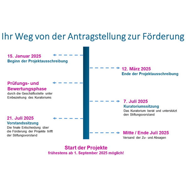 Ablaufchart Projektförderung 2025